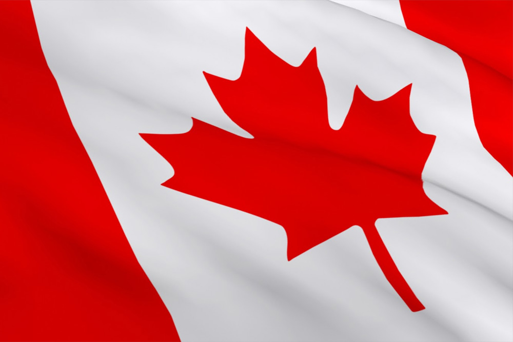 Pet Transpsortation Turkey Canada