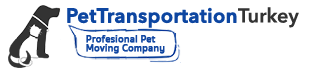 Pet Transportation Services to/from Turkey