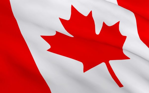 Pet Transpsortation Turkey Canada