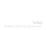 Pet Transportation Services to/from Turkey