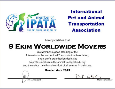 Pet Transportation Turkey IPATA New Certificate