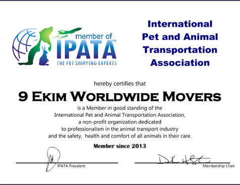 Pet Transportation Turkey Moving Certification IPATA - Pet